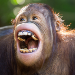 Why Do Some People Never Get Brain Freeze?
